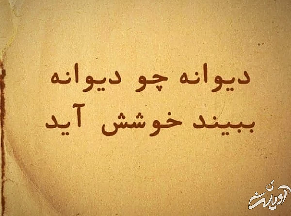 ضرب المثل 